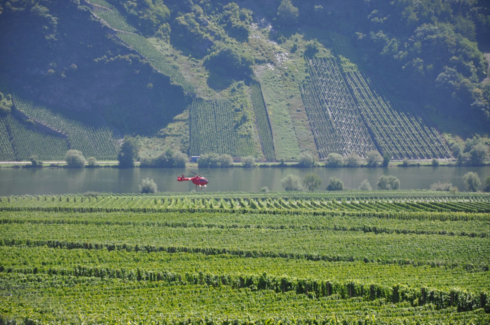 WRC-D 20-08-2010 074.jpg